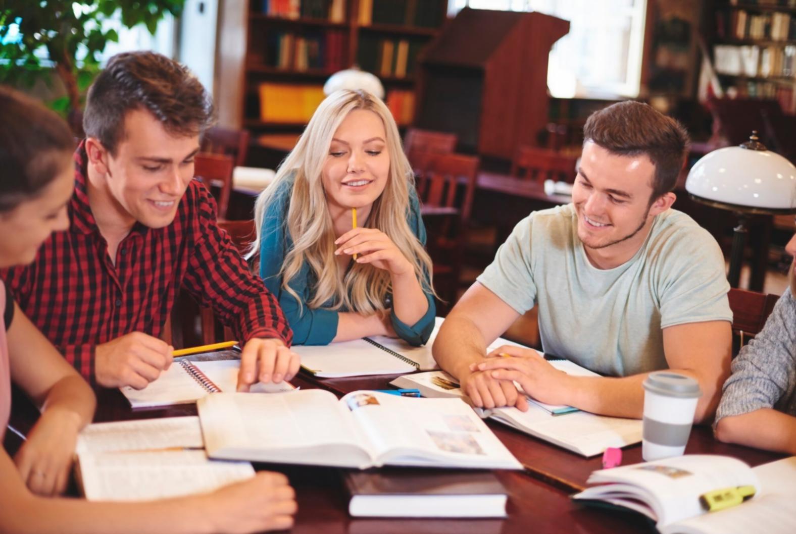 Business owner using systematic financial management tools and processes